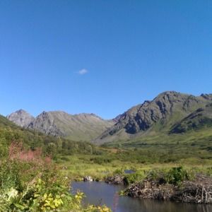 Meet your Posher, Jennasy